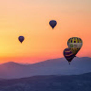 Meet your Posher, Daria